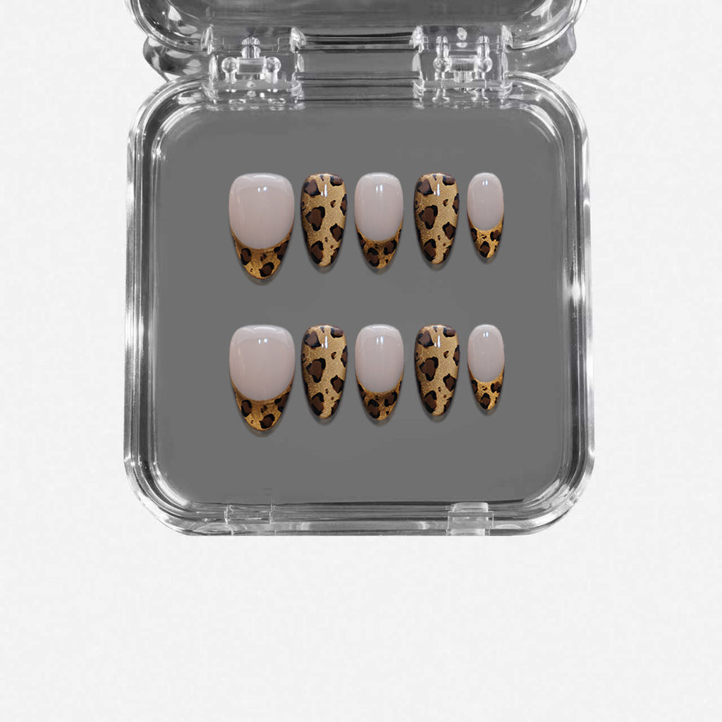French Collection·Design Collections-4